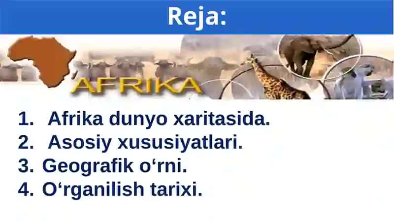 Afrikamaterigi 2