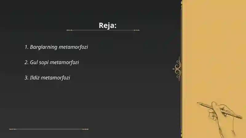 Barglarning metamorfozi 2