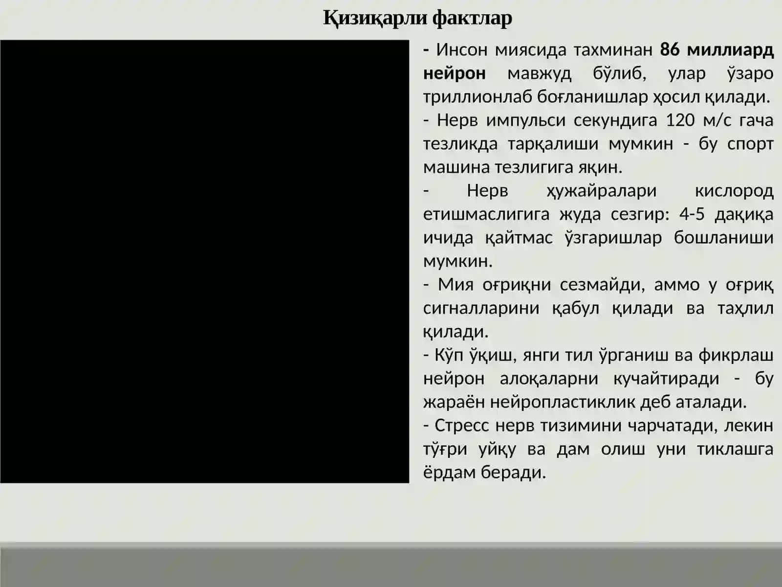 Неврология фанига кириш 2