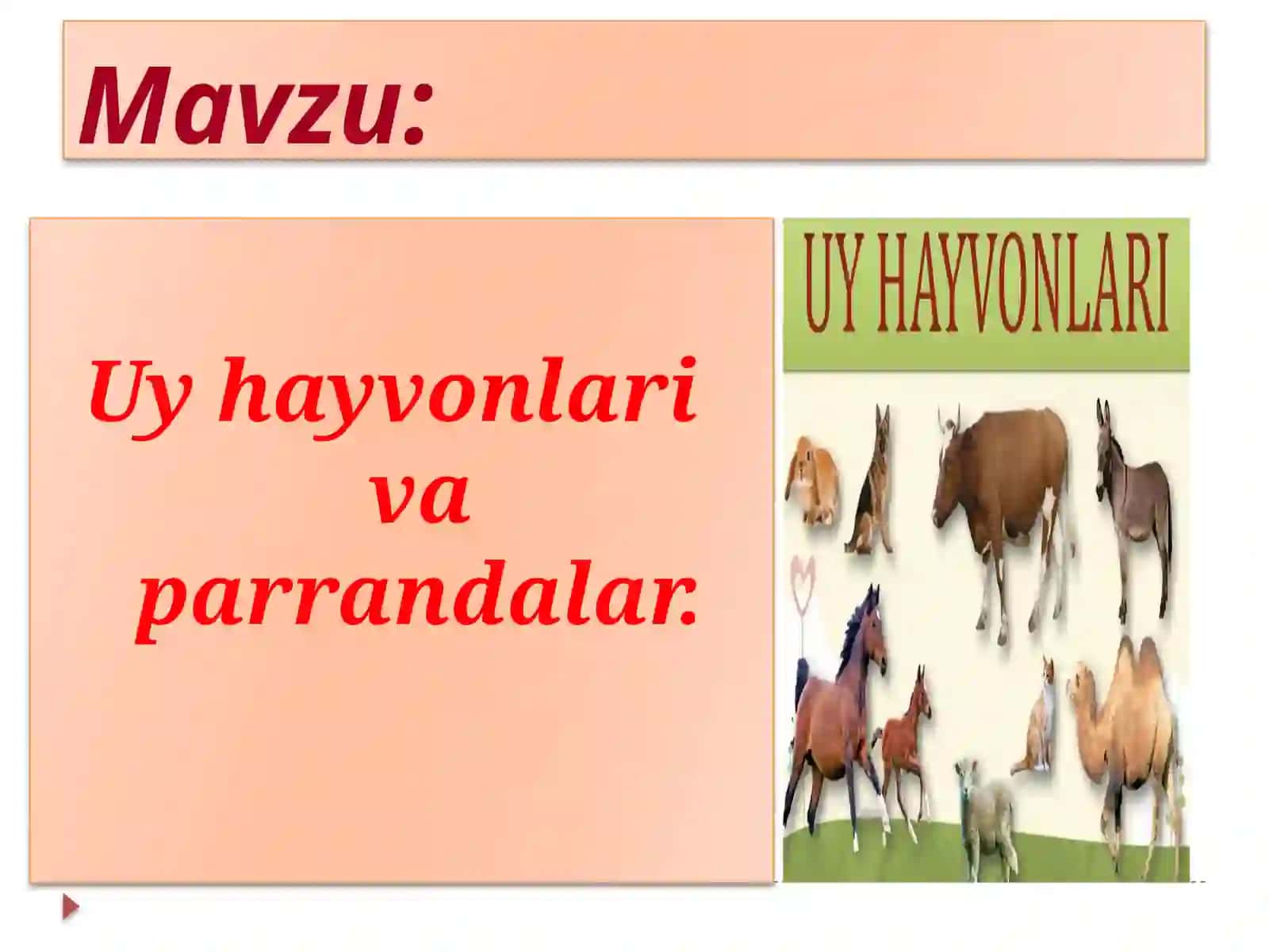 3-sinf O'zbek tili fanidan dars ishlanma. Uy hayvonlari va parrandalar 2