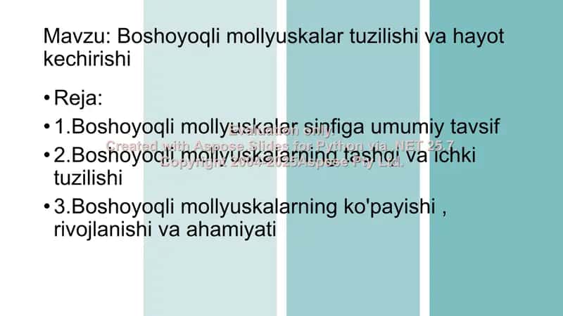 Boshoyoqli mollyuskalar tuzilishi va hayot kechirishi 2