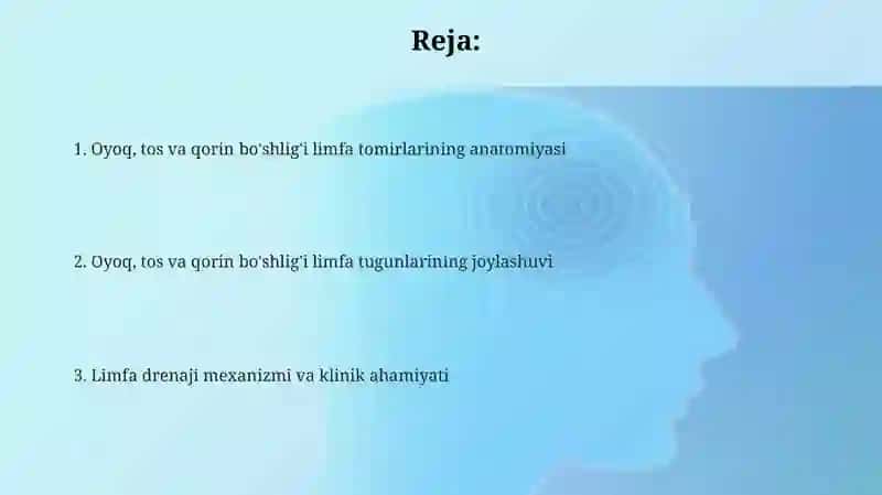 Oyoq, chanoq, qorin boʻshligʻi limfa tomirlari va tugunlari 2