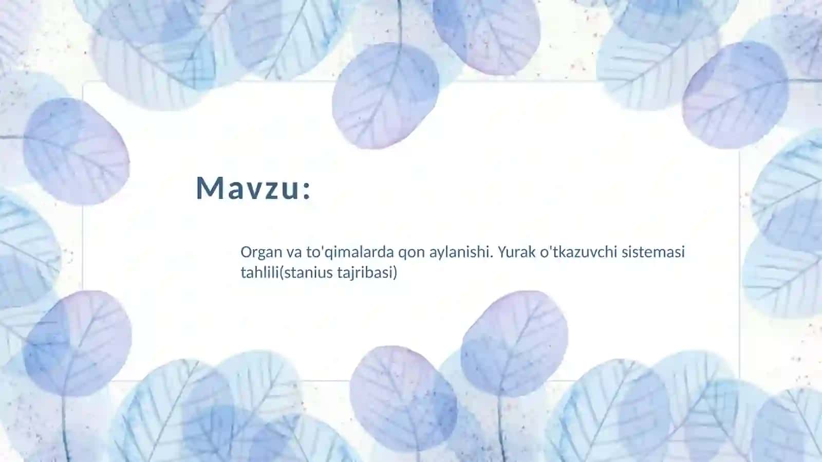 Yurakning o'tkazuvchi organlari tizimi 2