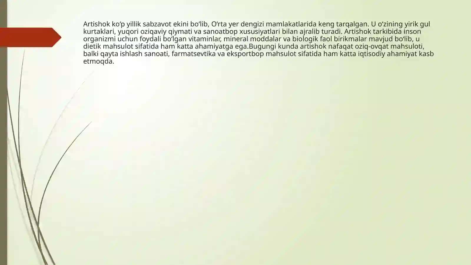 ARTISHOK ( Cynara scolymus L)OʻSIMLIGINIYETISHTIRISHTEXNOLOGIYASI 2