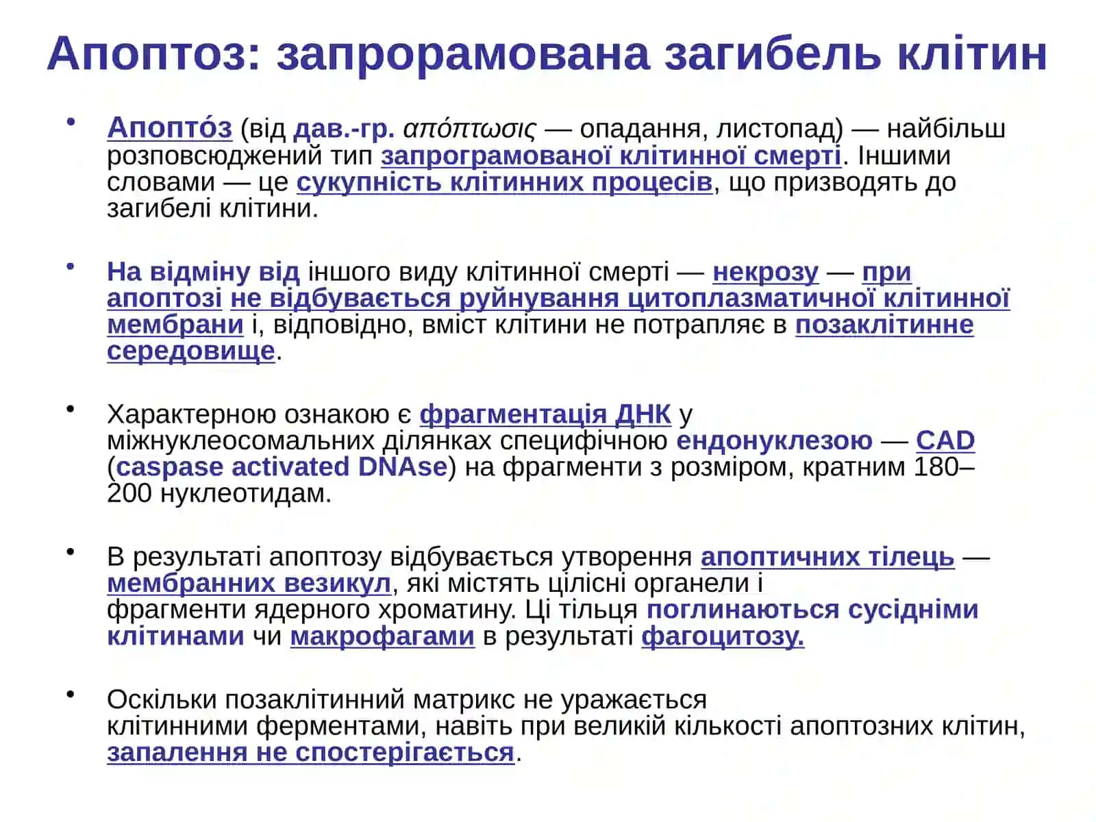 Апоптоз: запрорамована загибель клітин 2