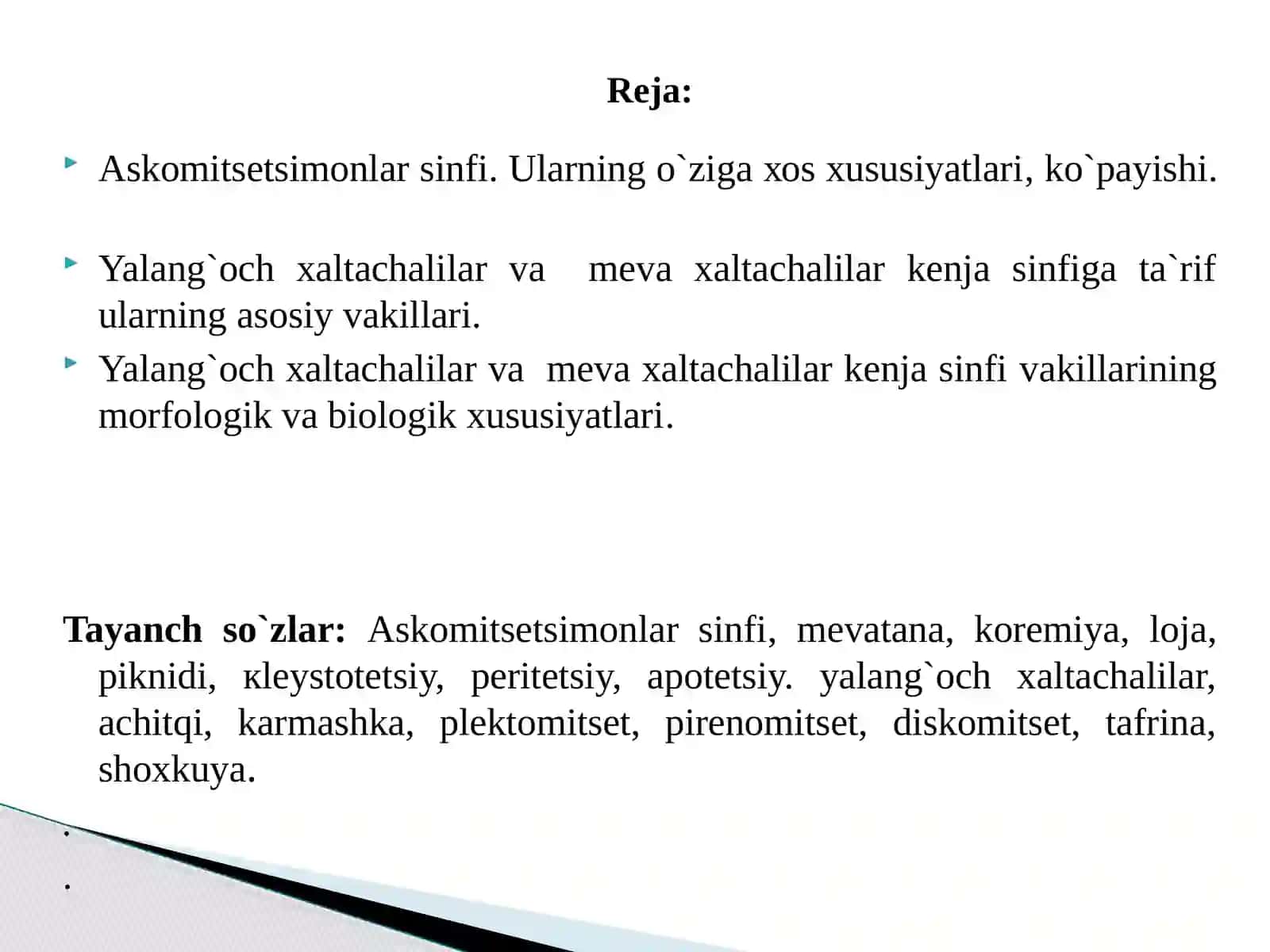 Askоmitsеtsimоnlar sinfi 2