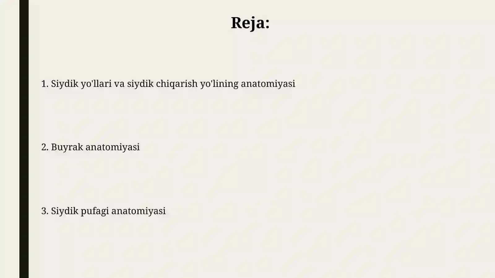Buyrak, qovuq va siydik yoʻli, siydik chiqarish kanalianatomiyasi 2