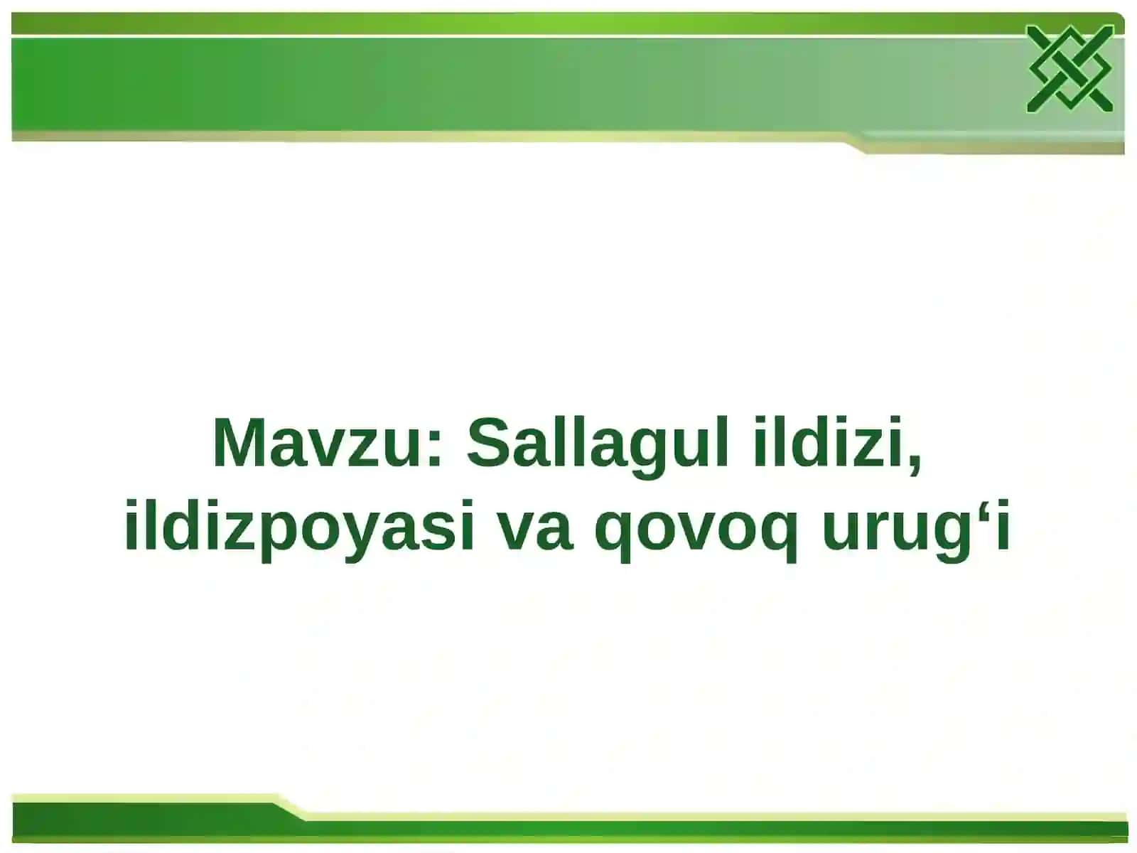 Sallagul ildizi, ildizpoyasi va qovoq urug‘i 2