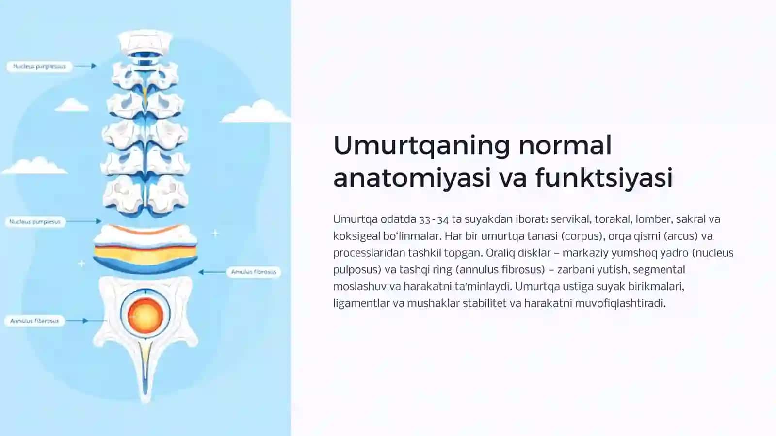 Umurtqa yalligʻlanish va degenerativ-distrofik kasalliklari. Umurtqa tugʻma anomaliyalari 2