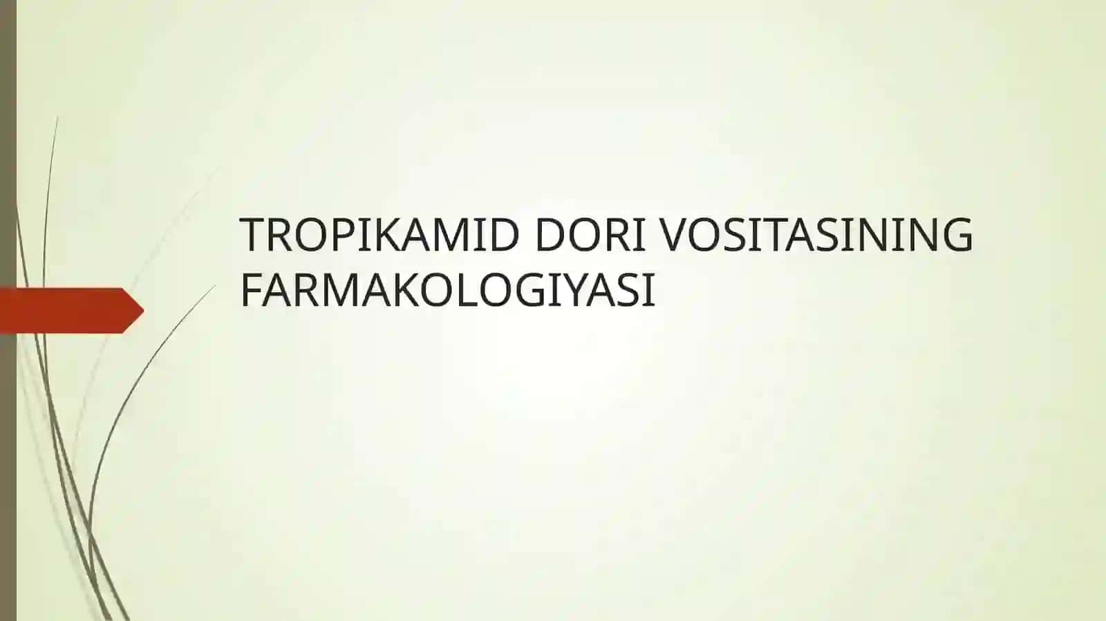 TROPIKAMID 2