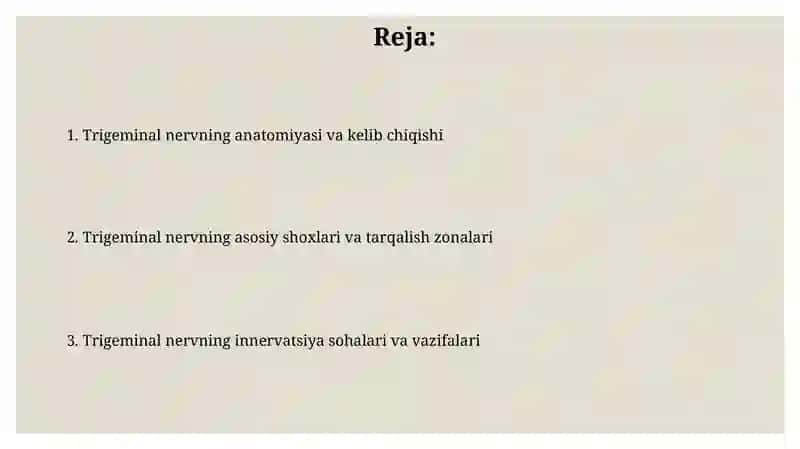 Trigeminal Nervning O'ziga Xosligi 2