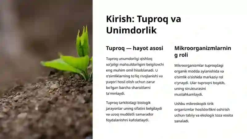 Tuproq Unimdorligini Oshirishda Mikroorganizmlardan Foydalanish 2