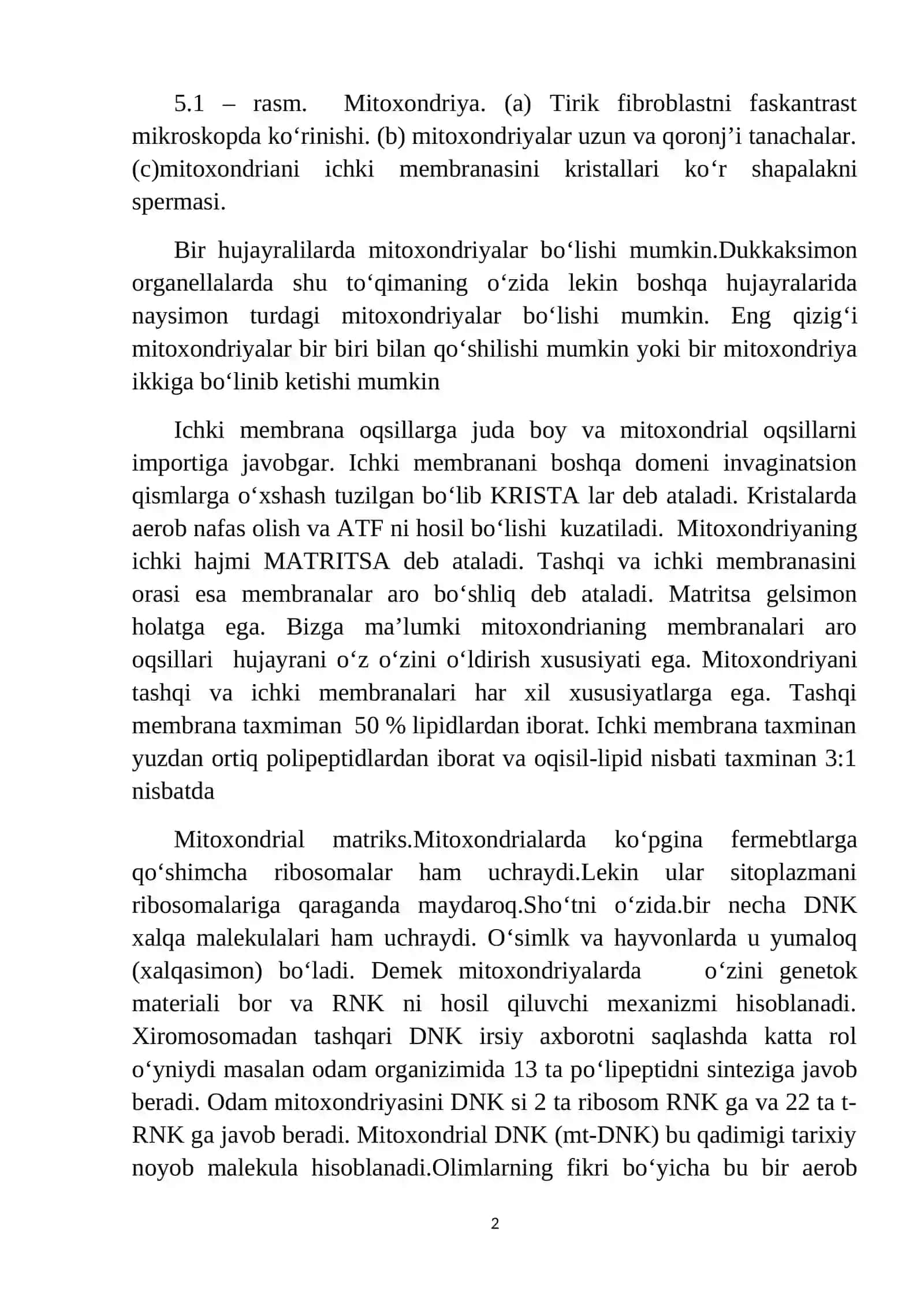 Mitoxondriya 2