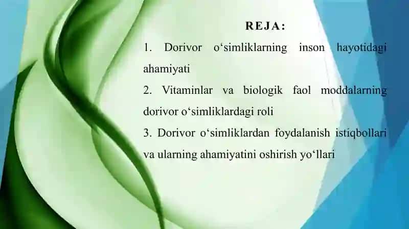 Dorivor oʻsimliklarning shifobaxshligini vitaminlar va biologik faol moddalarga bogʻliqligi 2