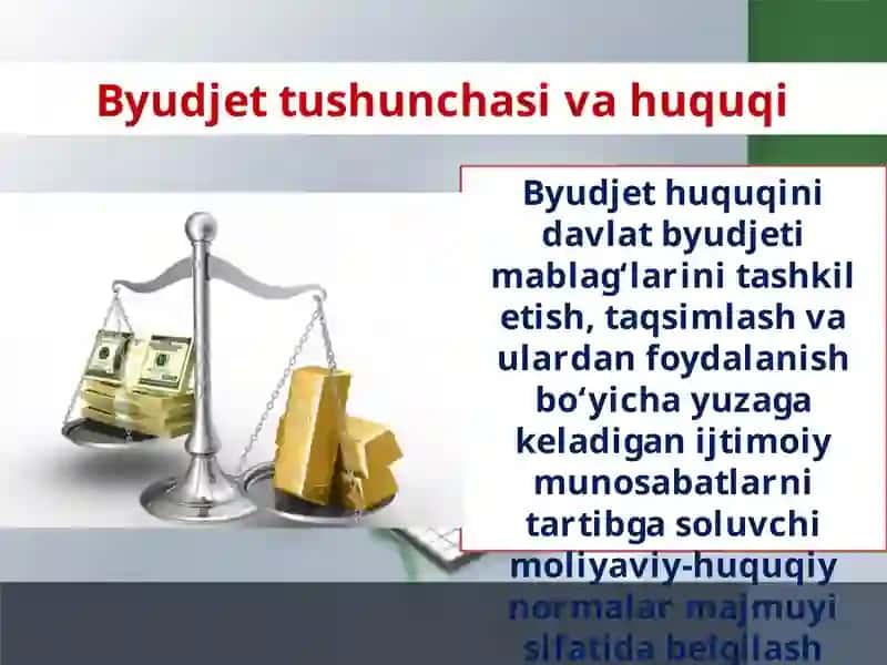 11-sinf Davlat va huquq asoslari fani darsligi 2