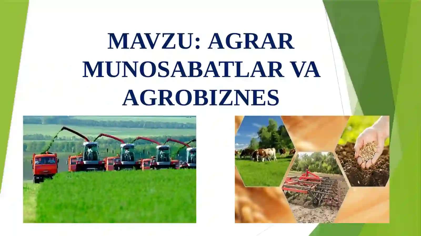 AGRAR MUNOSABATLAR VA AGROBIZNES 2