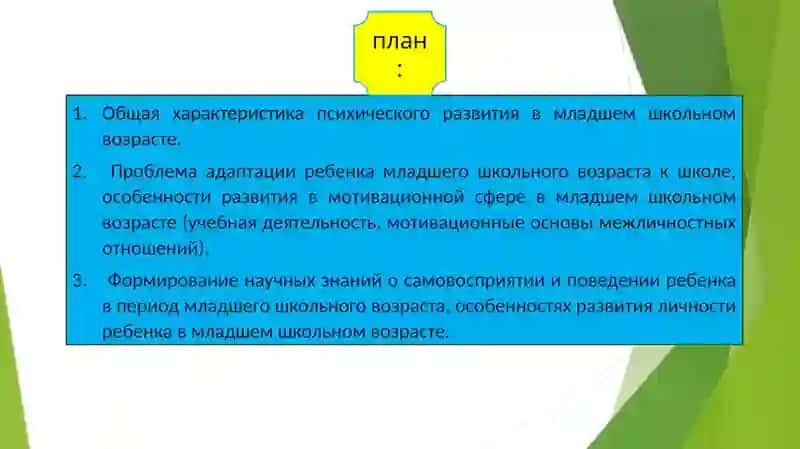 Особенности психического развития в период младшего школьного возраста 2