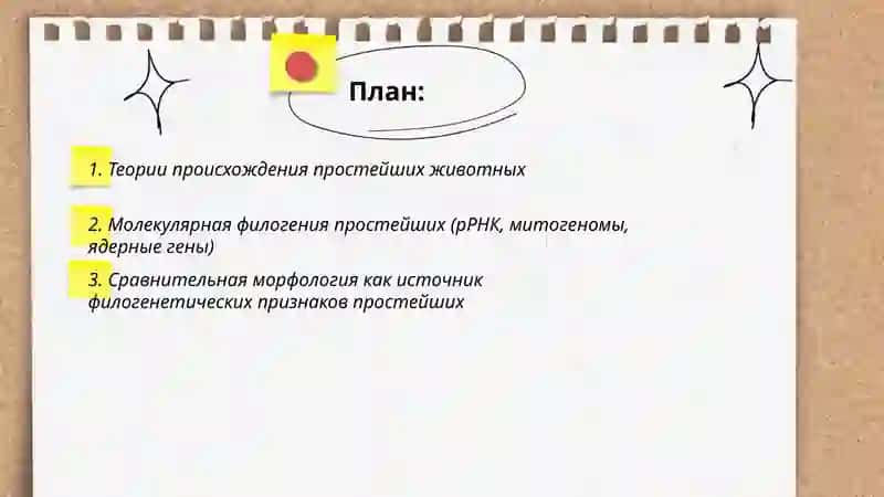Происхождение, филогения и экологическая радиация простейших животных 2