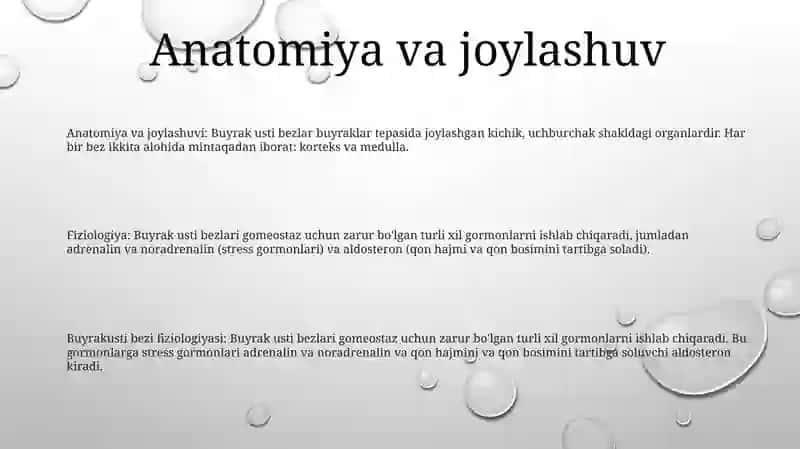 Buyrakusti Bezi Fiziologiyasi 2