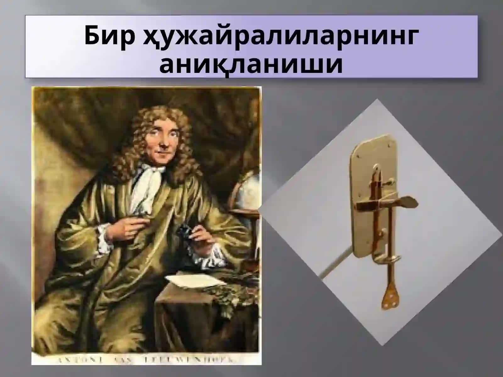 Protozoa кенжа дунёси (Бир ҳужайралилар) 2