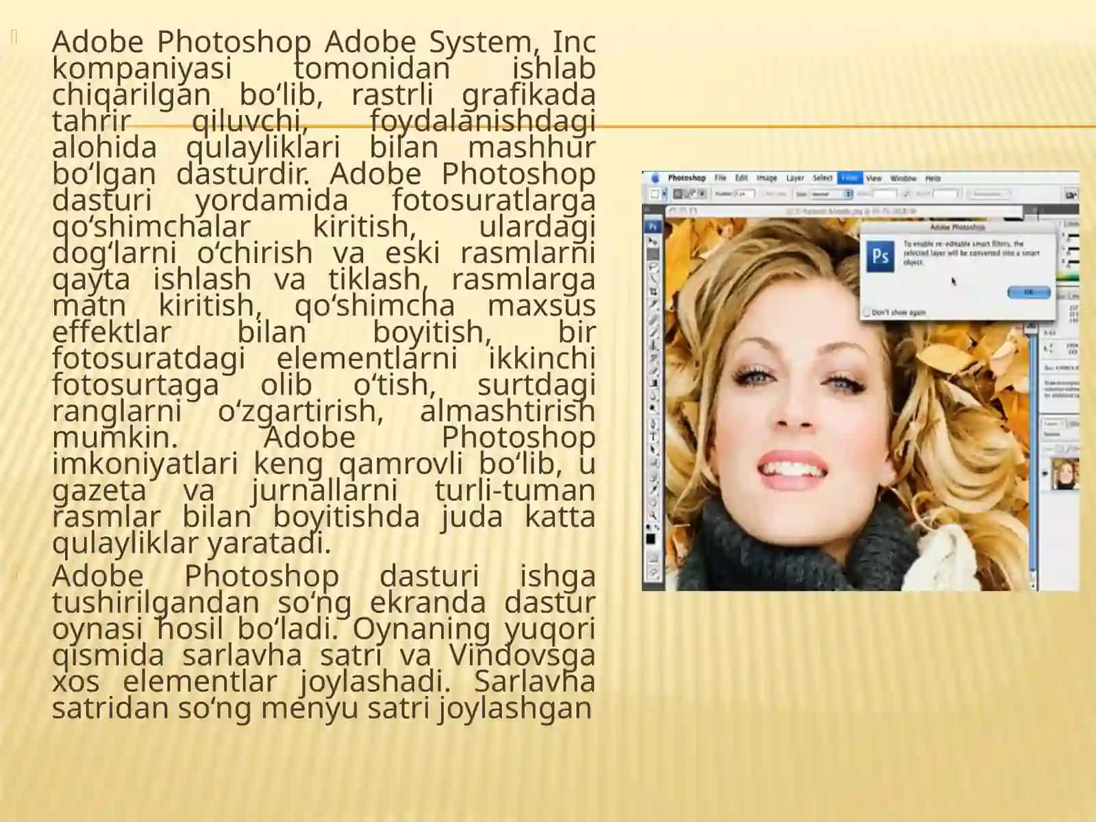 Adobe Photoshop 2
