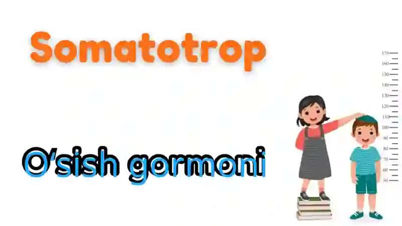 Oʼsish gormoni 2