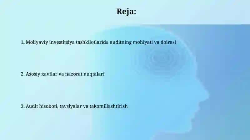 Moliyaviy Investitsiyalar xarakati b-n boʻgʻliq Muammo/ Auditini tash etish 2