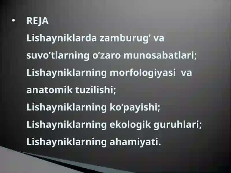 LISHAYNIKLARNING FOYDALI XUSUSIYATI VA AHAMIYATI 2