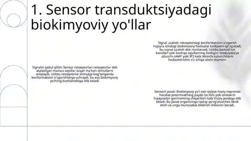 Sensor Tizimlar Faoliyatining Biokimyoviy Asoslari 2