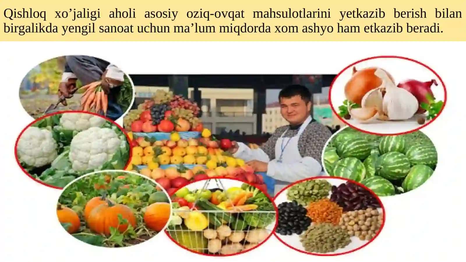 JAHON  IQTISODIYOTIDA  QISHLOQ  HO‘JALIGI TARMOQLARINING RIVOJLANISH XUSUSIYATLARI 2