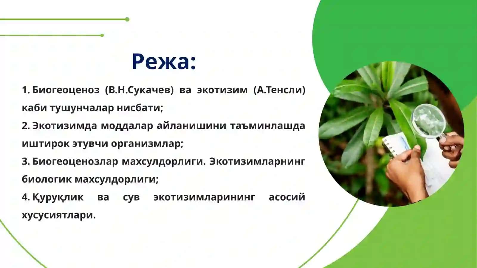 Биогеоценология(Экосистема ҳақидаги таълимот) 2