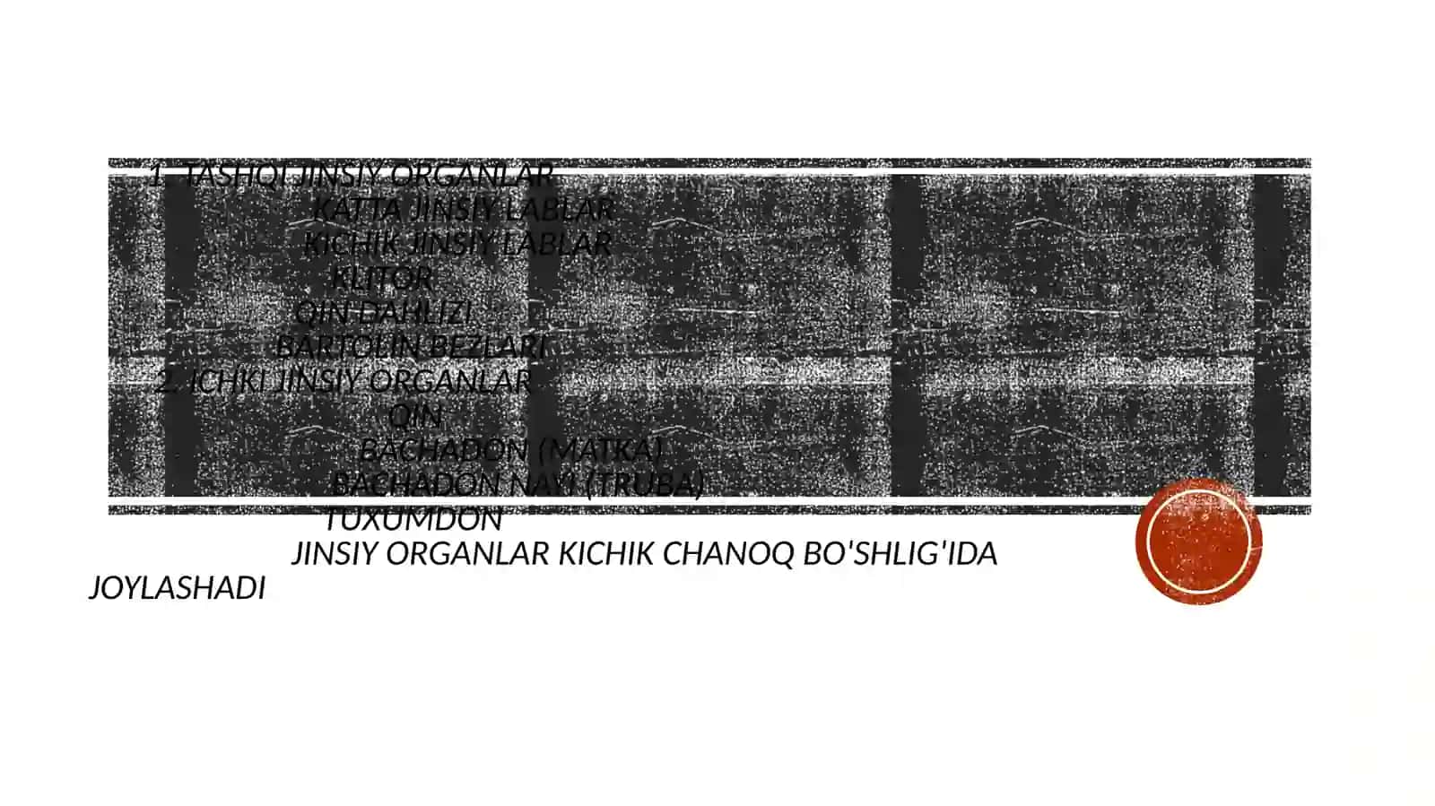 Ayollar jinsiya sistemasi anatomiyasi va fiziologiyasi 2