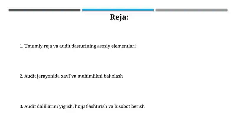 Moliyaviy hisobot auditining umumiy rejasi va dasturinitayyorlashxususiyatlari 2