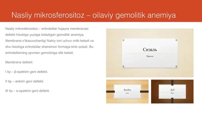 Nasliy mikrosferositoz 2