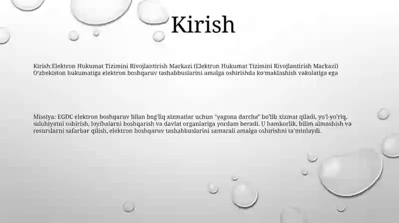 Elektron Hukumat Tizimini Rivojlantirish Markazi 2