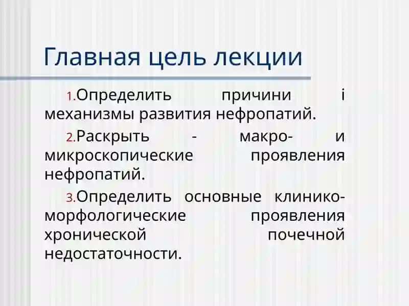 Патоморфология болезней почек 2