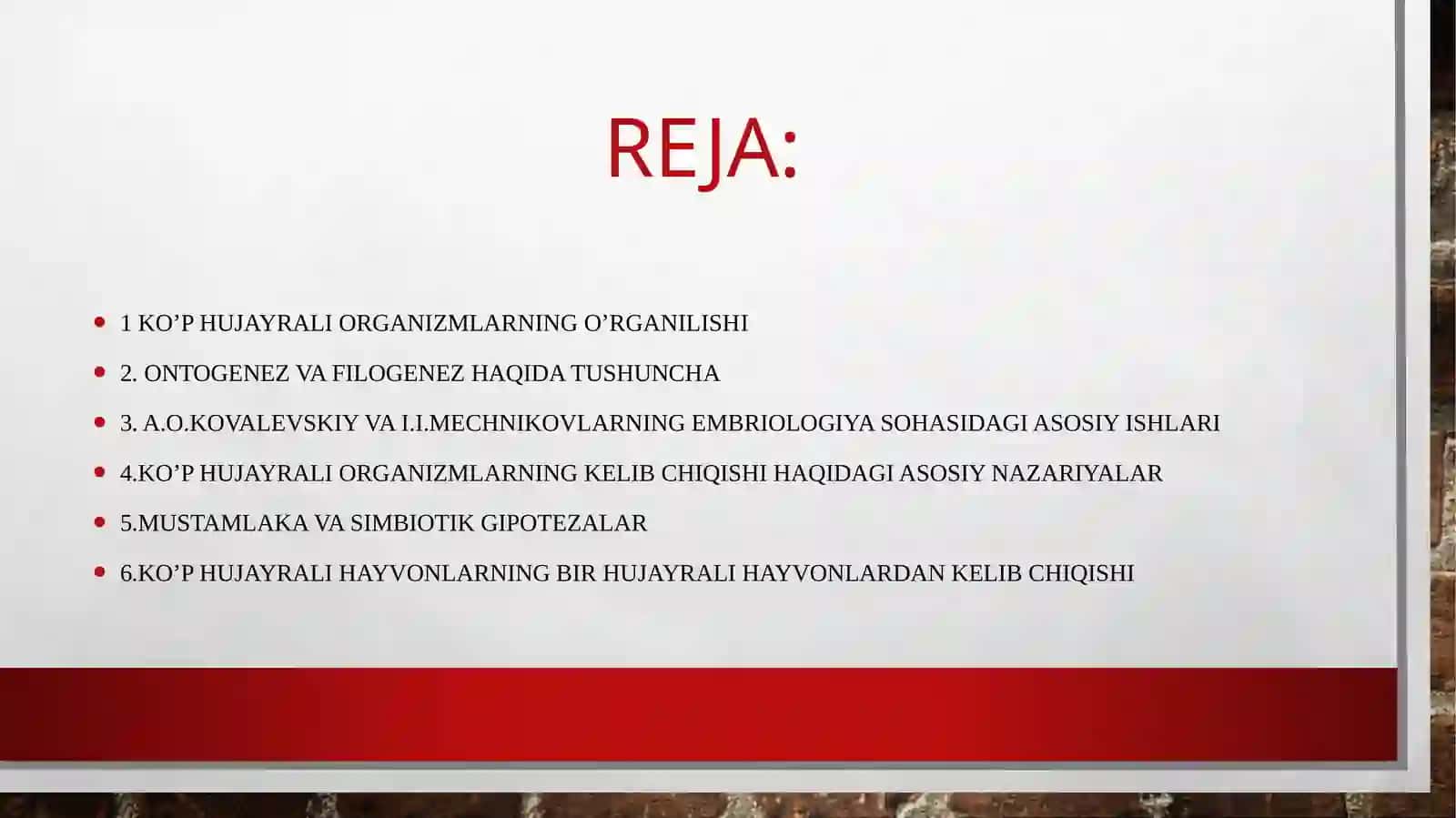 Koʻphujayralihayvonlarningkelibchiqishnazariyalari 2