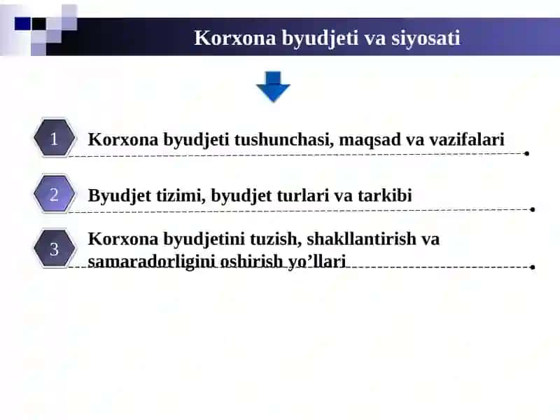 Korxona byudjeti tushunchasi, maqsad va vazifalari 2