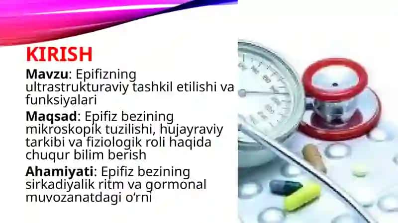 Epifizning ultrastrukturaviy tashkil etilishi va funksiyalari 2