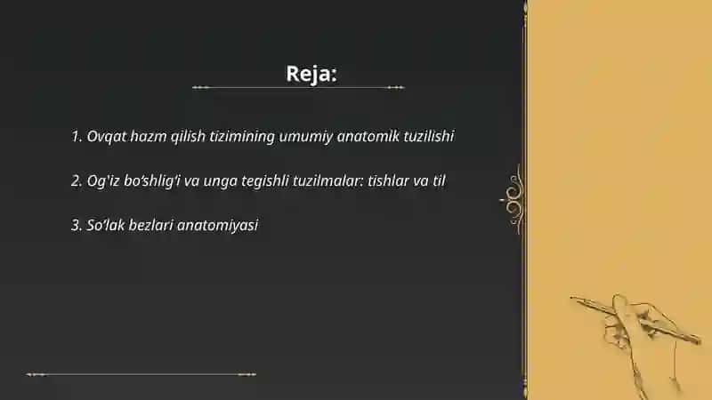 Ovqat hazim qilish tizimining anatomiyasini o'rganish 2