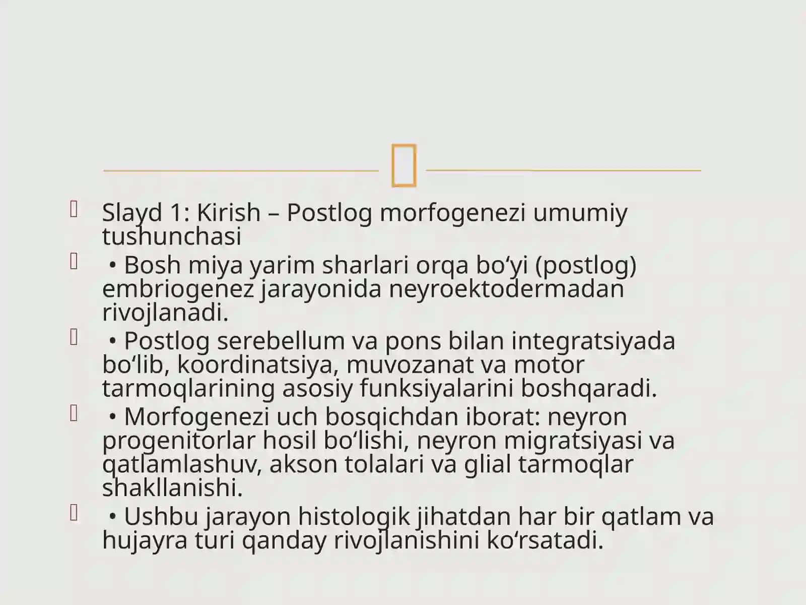 Bosh miya yarim sharlaripostlogining morfogenezi 2