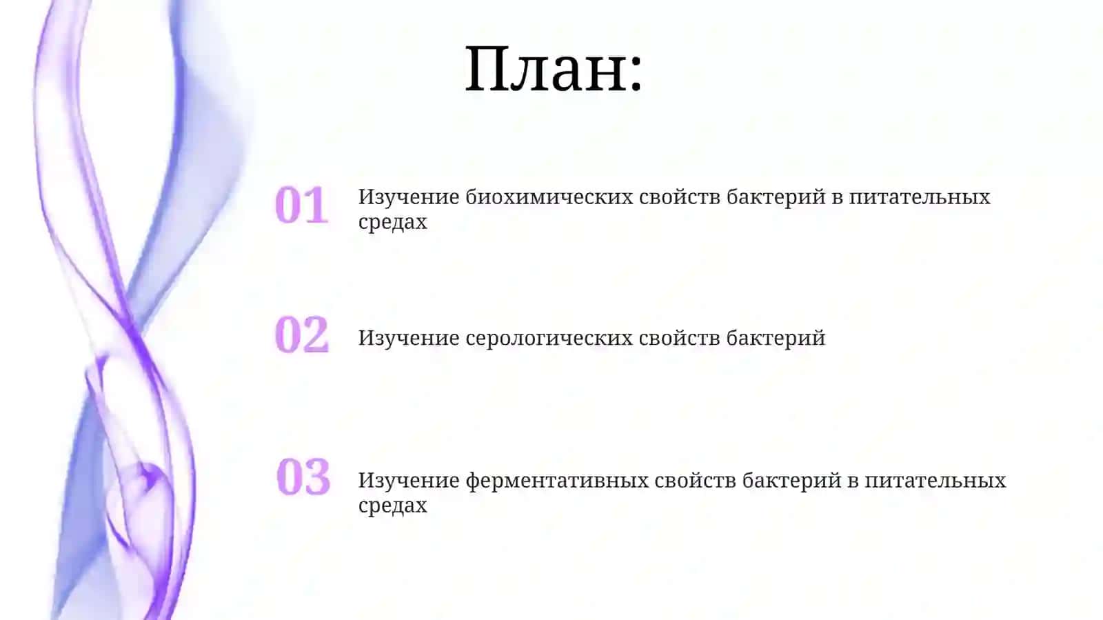Изучение биохимических свойств бактерий в питательных средах 2