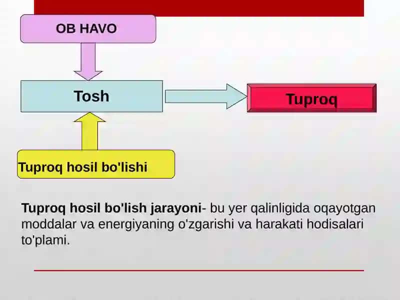 Tuproq hosil bo'lish 2