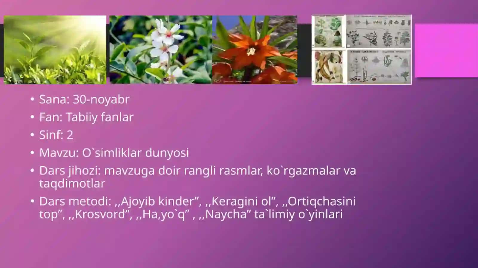 O`simliklar dunyosi 2