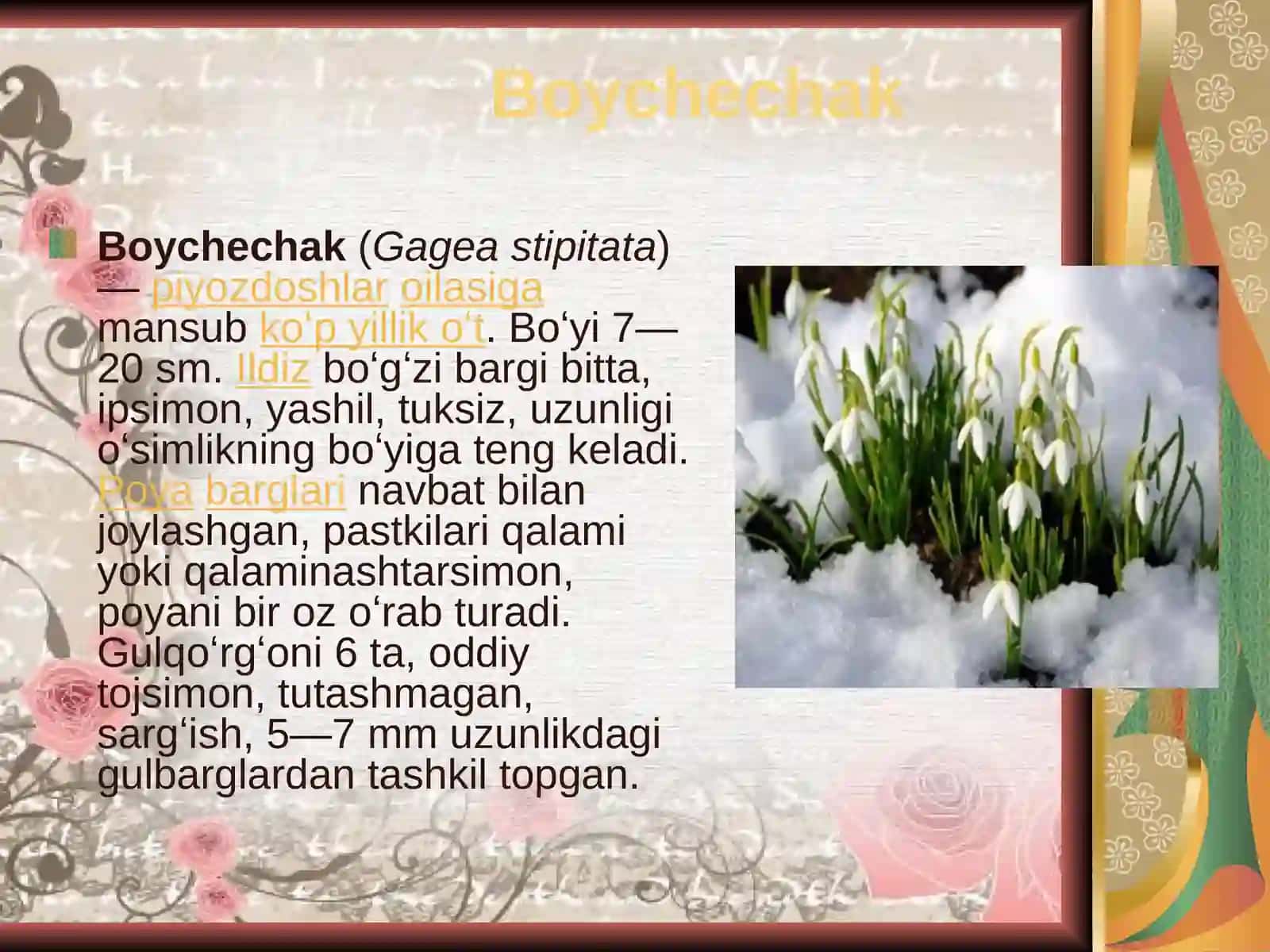 2-sinf Tasviriy san'at Bahoriy gullar dars taqdimoti 2