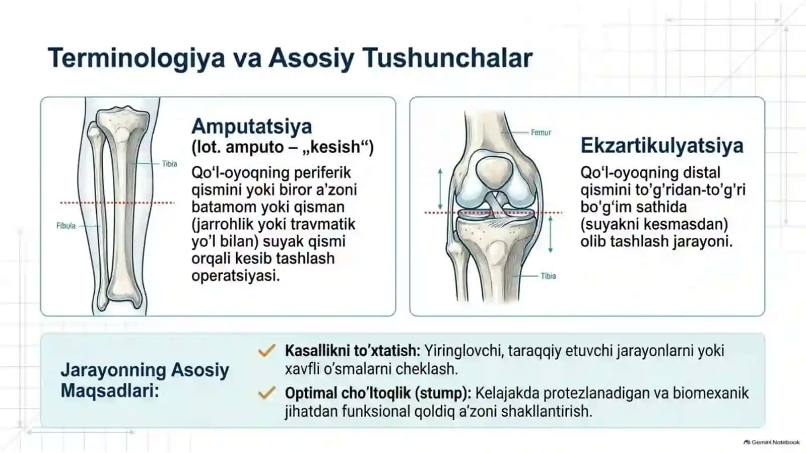 AMPUTATSIYA, PROTEZLASH ISHLARI VA NOGIRONLAR REABILITATSIYASI | 15 SLAYDLI TIBBIY TAQDIMOT 2