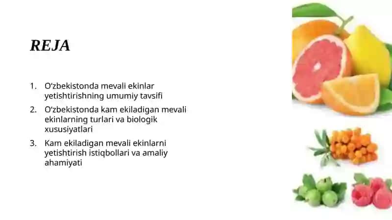 "O'zbekistonda kam ekiladigan mevali ekinlarni ta'riflash" 2
