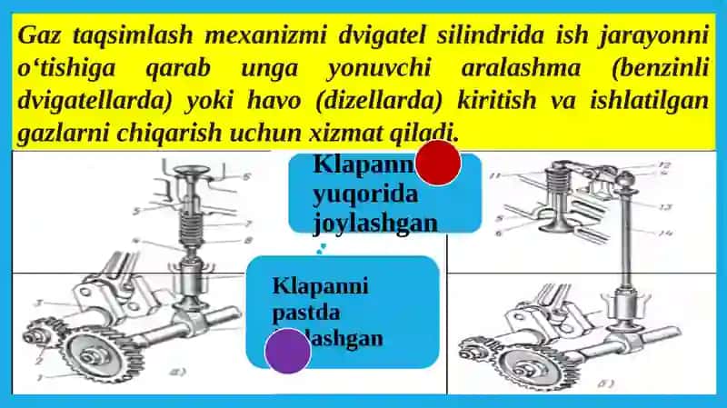 Gaztaqsimlashmexanizminituzilishivavazifasi 2
