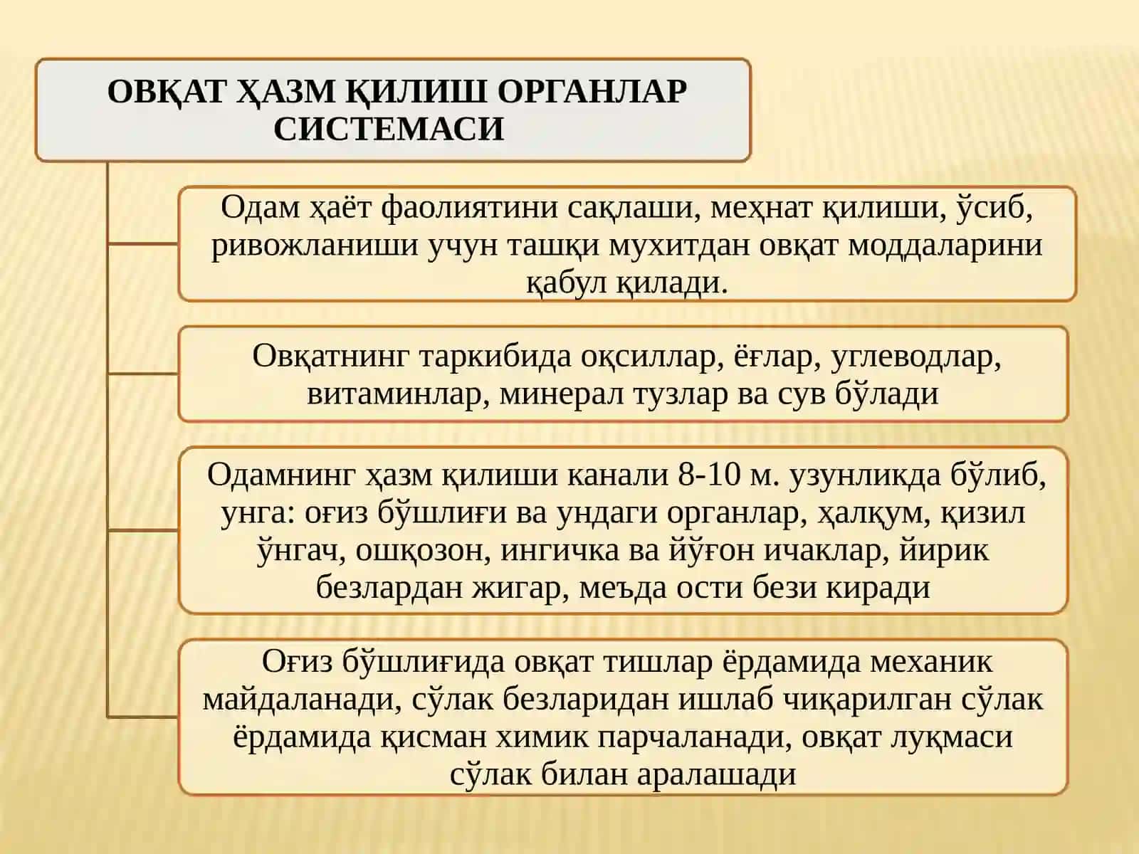 ОВҚАТ ҲАЗМ ҚИЛИШ ТИЗИМИНИНГ ЁШ 2
