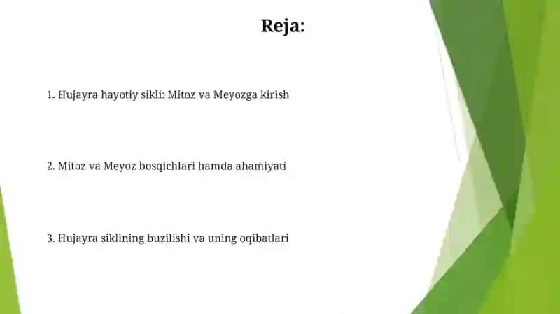 Hujayraning hayotiy sikli Mitoz va Meyoz 2